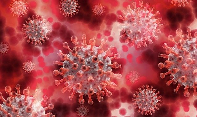 jak se projevuje koronavirus